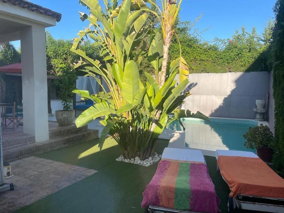 Atuaire Home Sevilla Mairena del Aljarafe Exteriér fotografie